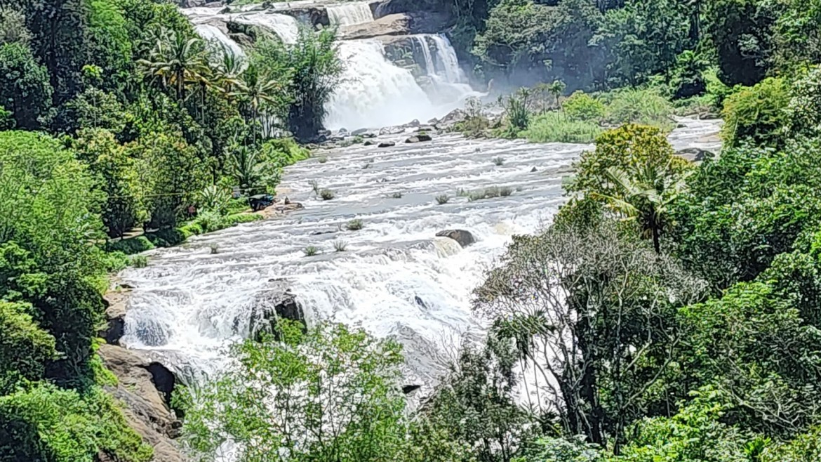 Rainbow Adventures – Embracing Nature’s Thrills: Exploring Munnar’s Adventure Diversity