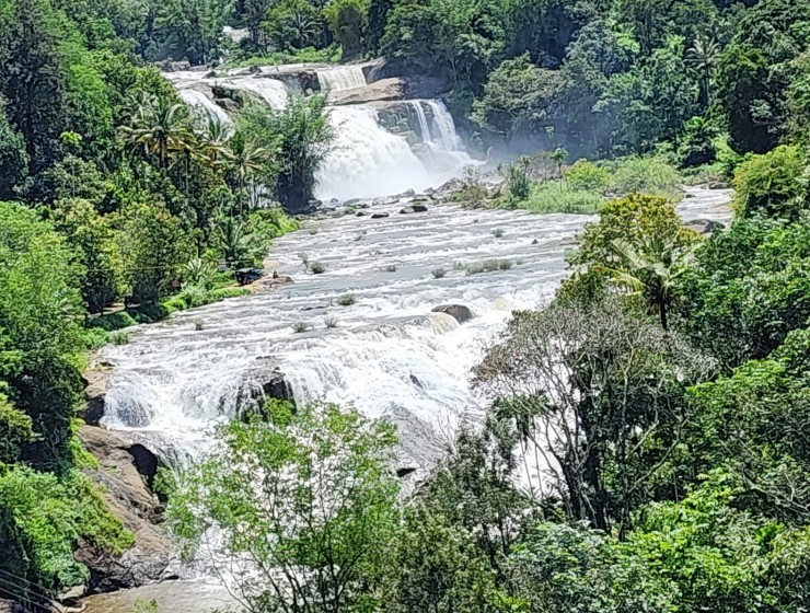 Rainbow Adventures – Embracing Nature’s Thrills: Exploring Munnar’s Adventure Diversity